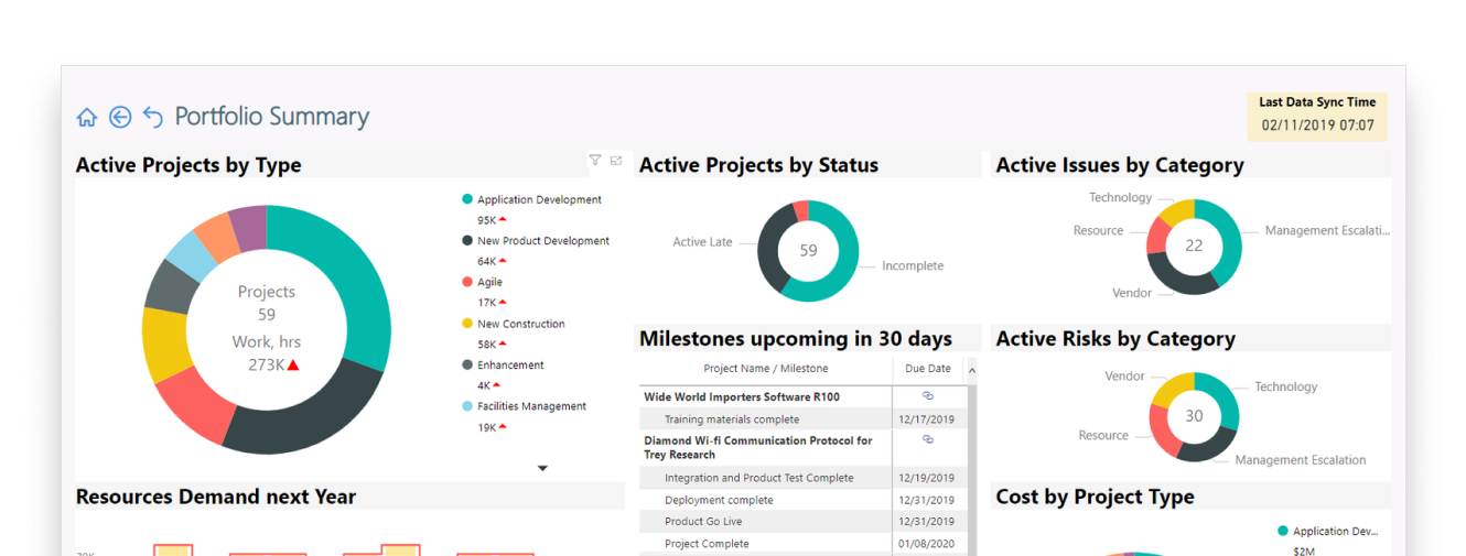 Power BI, Project