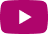 https://fluentpro.com/wp-content/uploads/2022/11/youtube.png